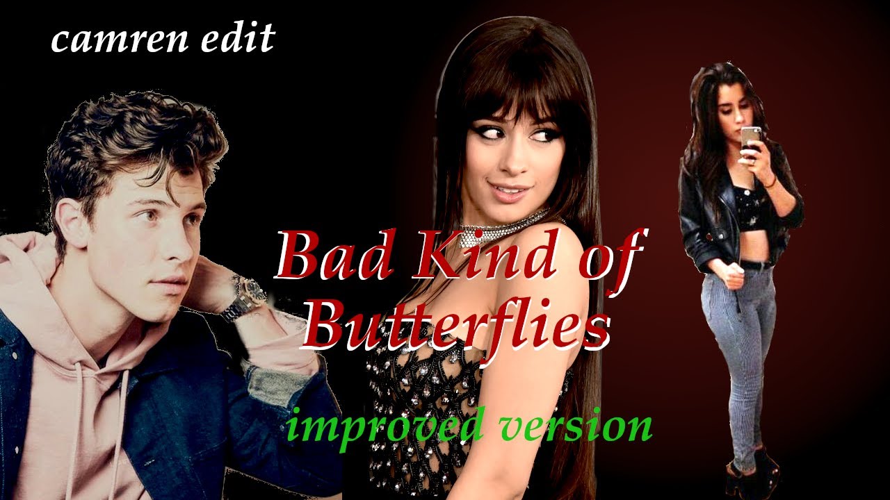 bad kind of butterflies - camren (corrected version)