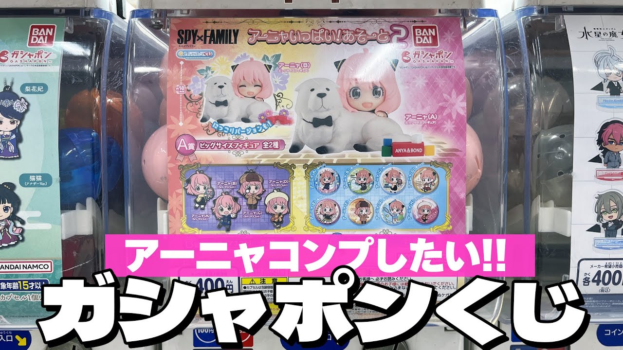 アーニャ＆ボンドのビッグサイズフィギュアが当たる！SPY×FAMILY ガシャポンくじ アーニャいっぱい!あそーと2 回した結果
