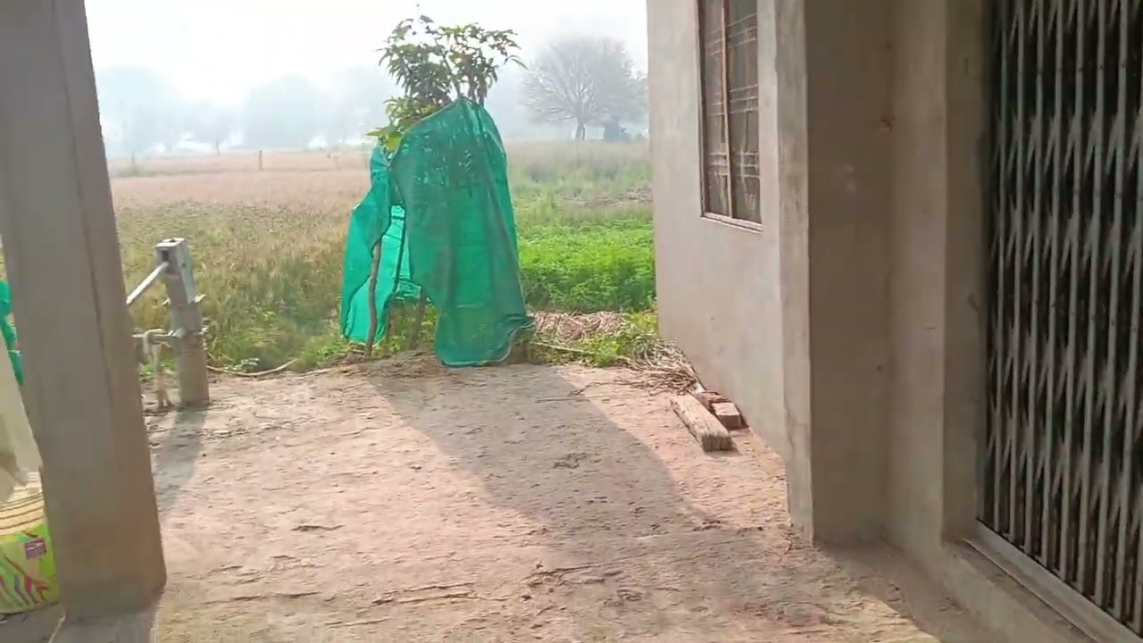 आज_ पहला _दिन_ गांव _में🙏