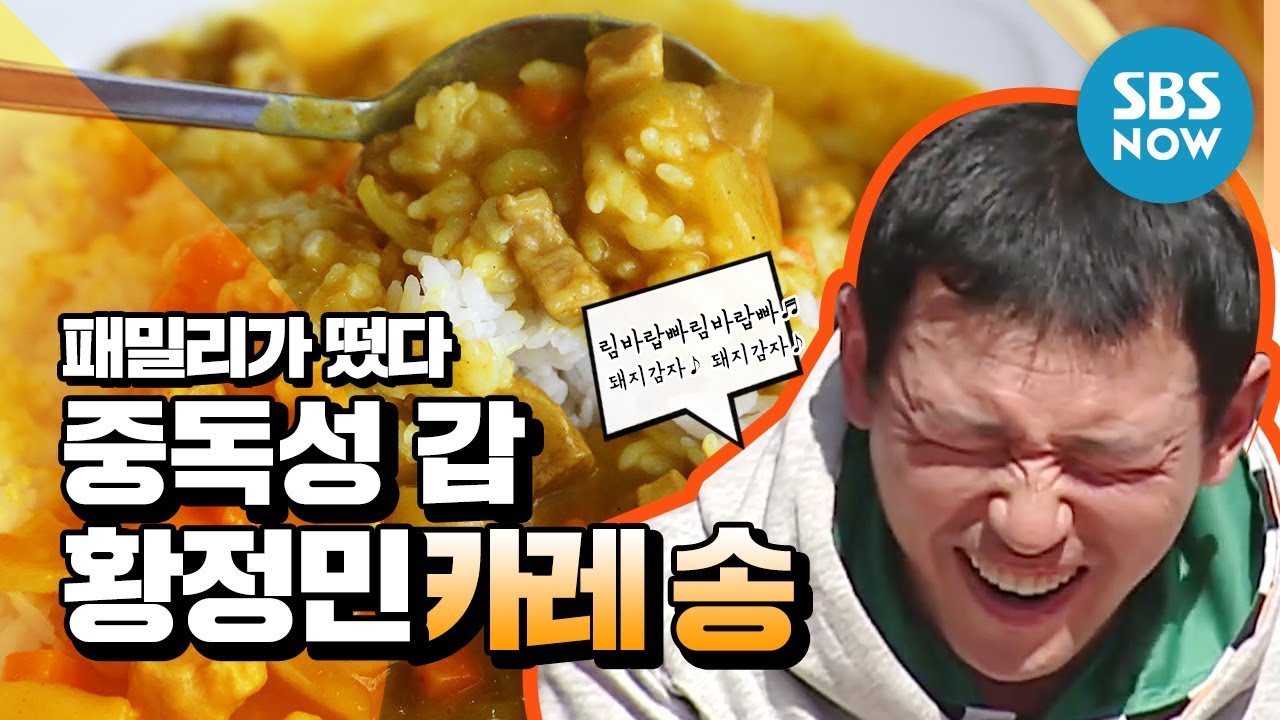 레전드 예능 [패밀리가 떴다] 황정민(Hwang Jung Min) 중독성 갑 카레송 / 'Family Outing' Review
