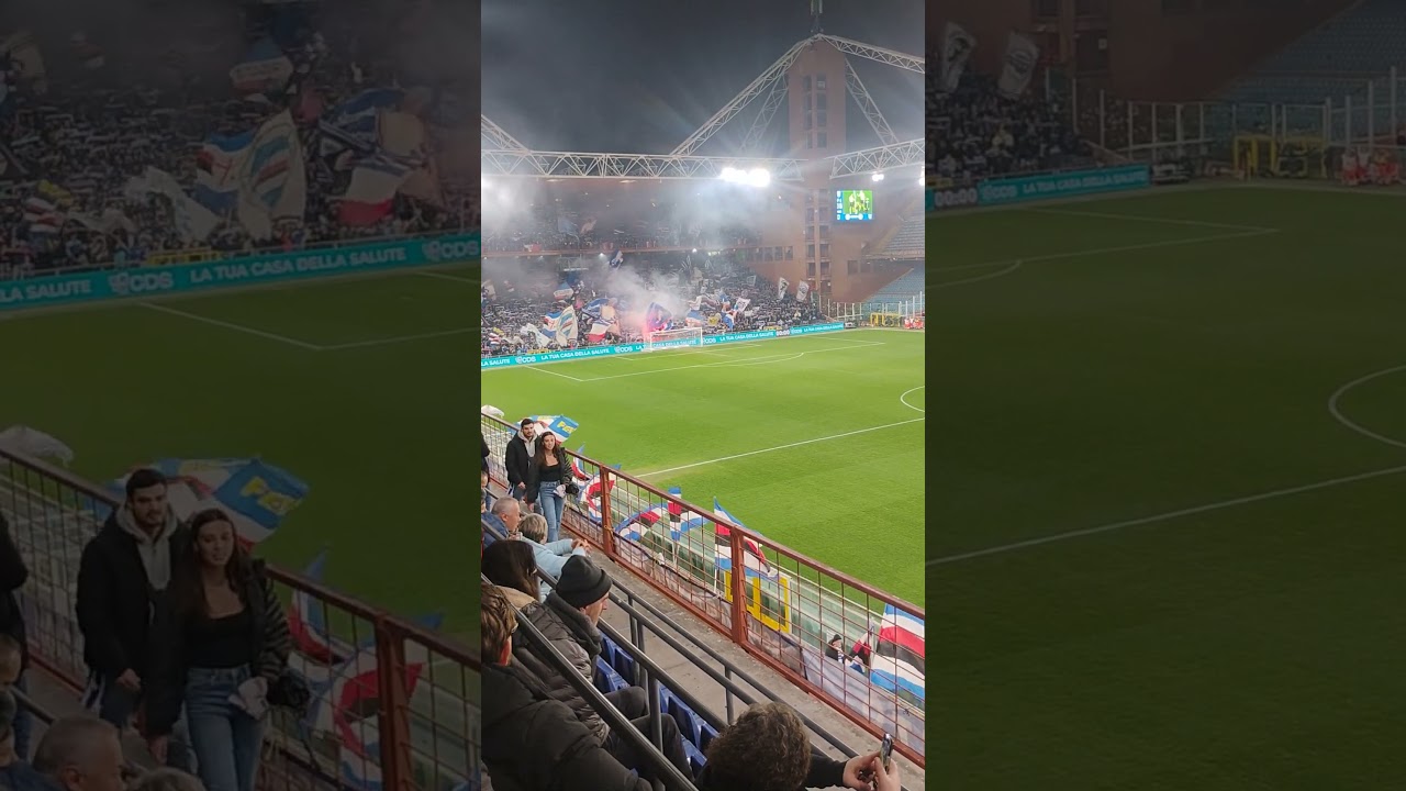 Ultra tito Cuchiaronni Sampdoria-Bari 0-2 27/02/26 #genova #samp #bari #doria #seriebkt #sampdoria