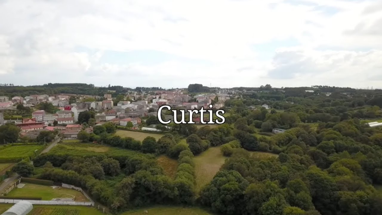 Curtis