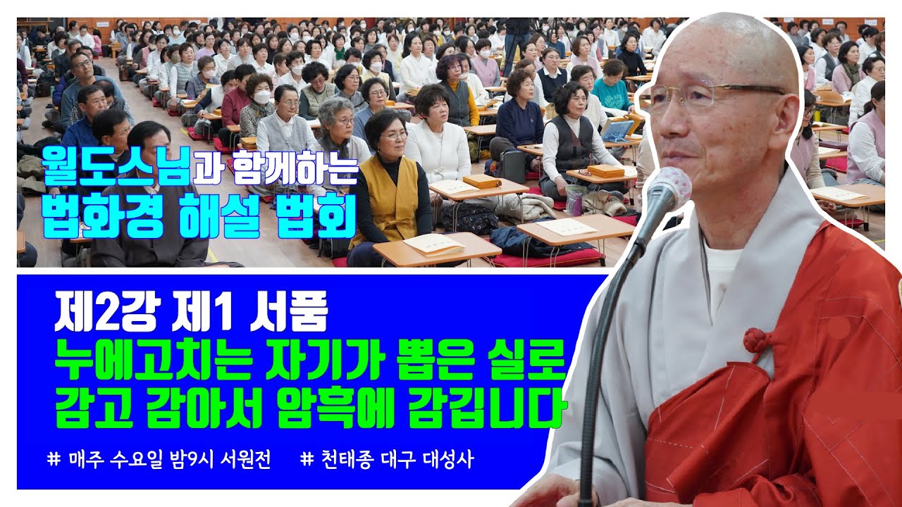 대성사 법화경 제2강  제1서품 누에고치는 자기가 뽑은 실로 감고 감아서 암흑에 감깁니다