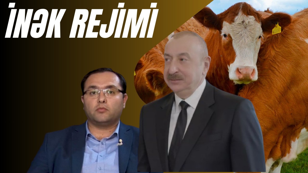 Cünun Məmmədovun aqrar qırğını. Ət də bahalaşacaq, yağ da, hətta yumurta da! İnək ağlı ilə idarə!
