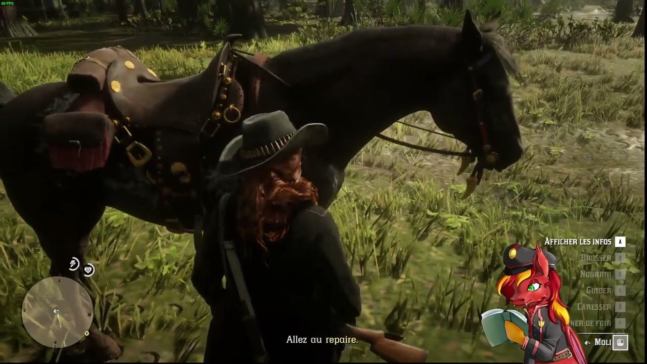 RDR : 2 Une Vie de chasseur de primer aux Far West