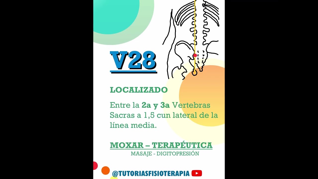 SANE VEJIGA LITIASIS, VIAS URINARIAS, MIOMAS, QUISTES UTERO, DOLOR SACRO ILIACO PUNTO VEJIGA 28