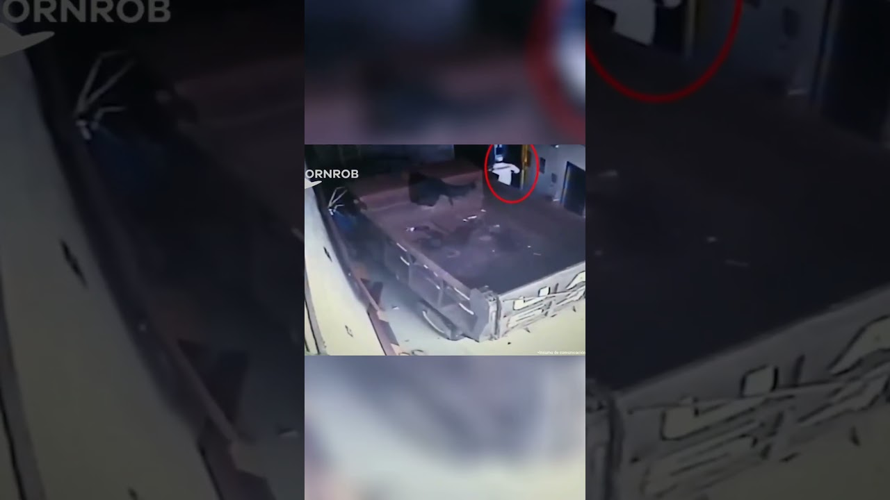 🎬 Caught on Camera w/Sound | Medellin Gold Heist UPDATE: Criminals Sentenced! 💰🚨