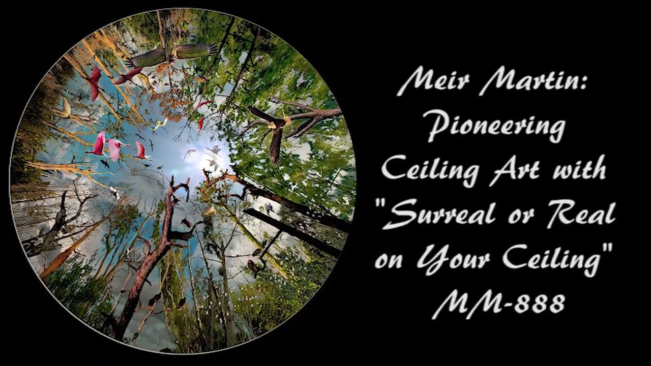 MM-888 Ceiling artwork by Meir Martin