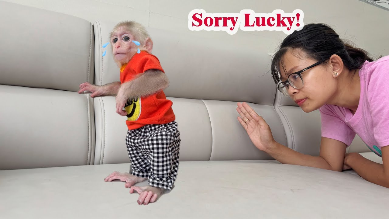 So funny! Lucky had a dream and was angry at his mother, what happened