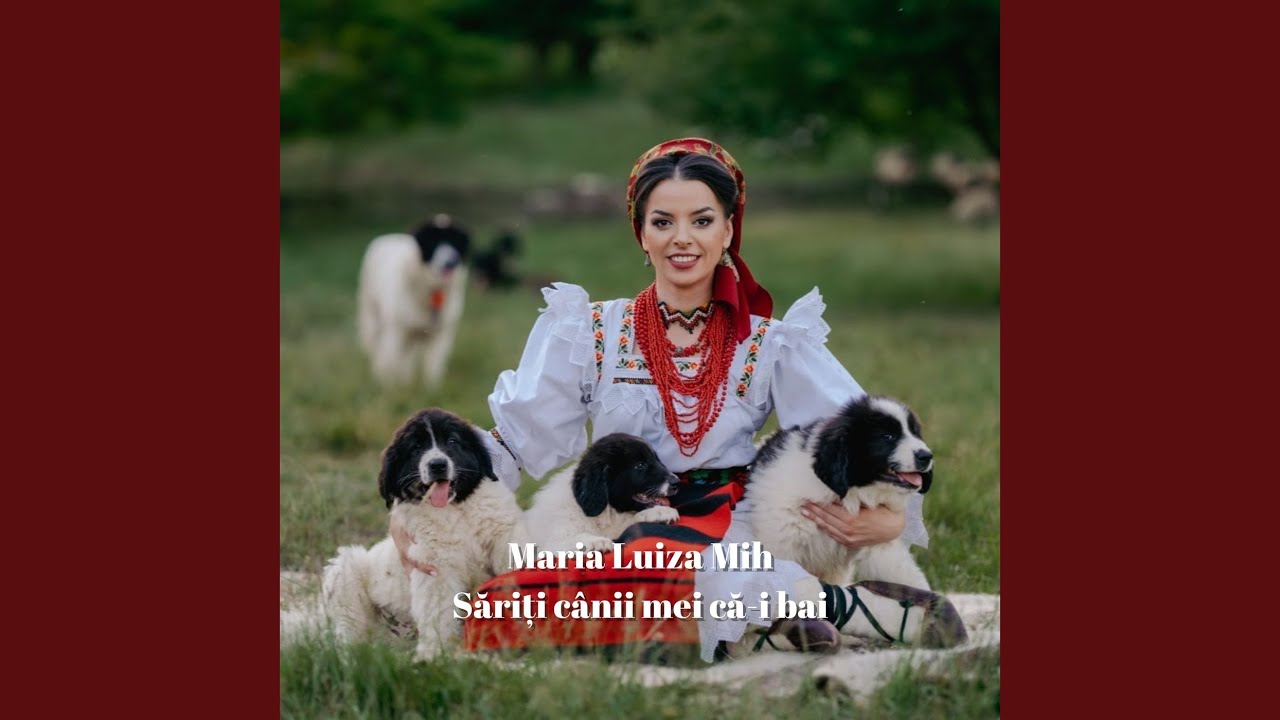 Sariti Canii Mei Ca-I Bai