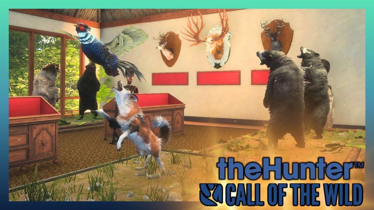 BORA CAÇAR OS GREATS- THE HUNTER CALL OF THE WILD 