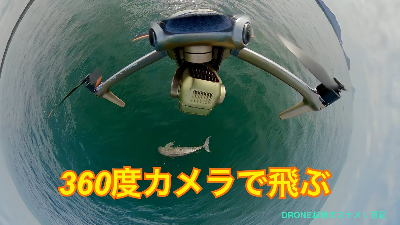 360度カメラで飛ぶ　　DRONEでスナメリを撮影