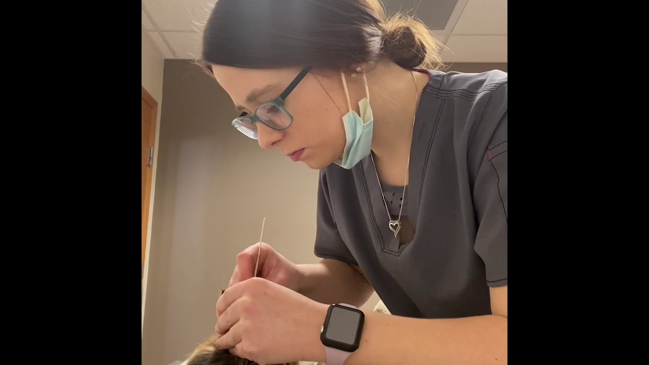 ACM 2: Feline Ear Cleaning