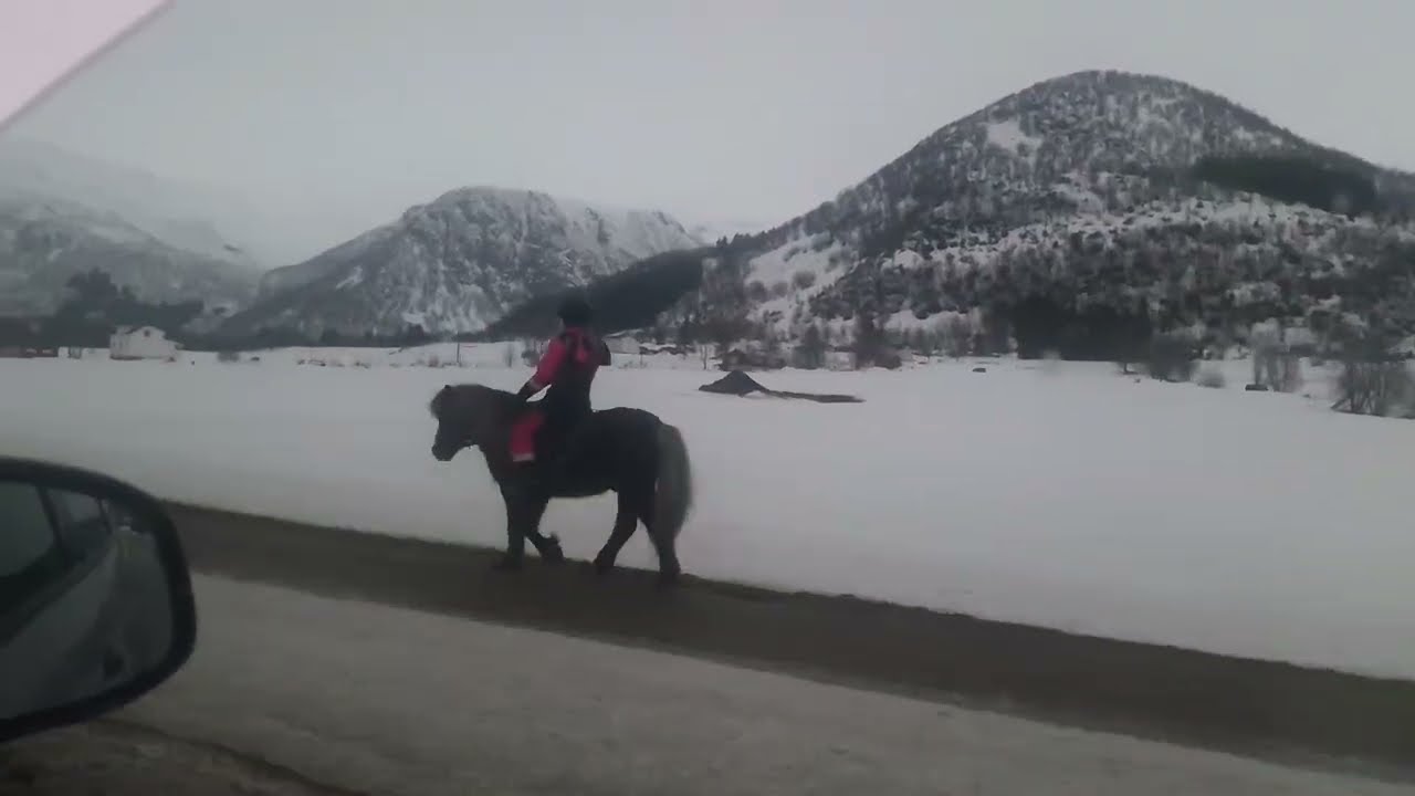 Winterly northern Norway 