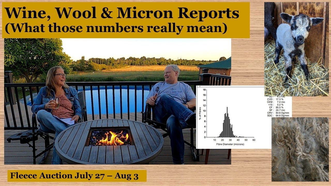 Understanding Micron Reports: How to Choose the Right Fleece for Your Spinning Project