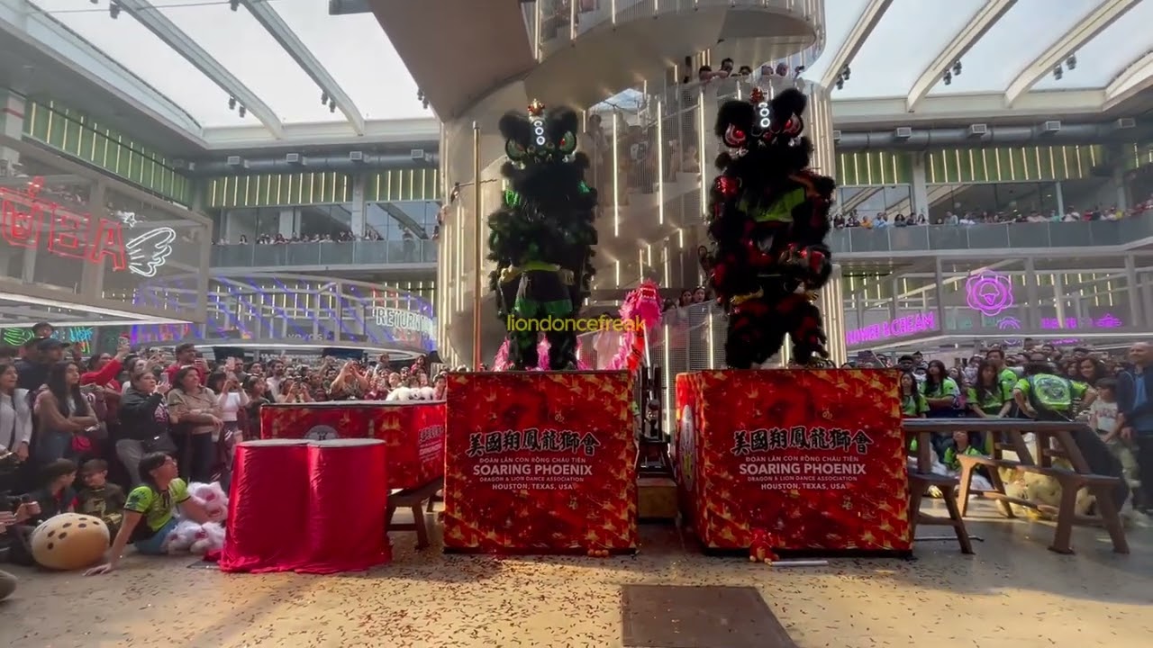 CNY 2024 - Double Traditional Lion Dance by 美國翔鳳龍獅會  USA Soaring Phoenix - Con Rồng Cháu Tiên