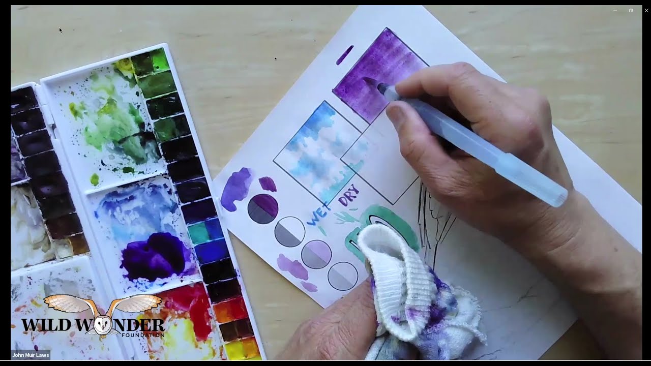 Learn to Watercolor with John Muir Laws