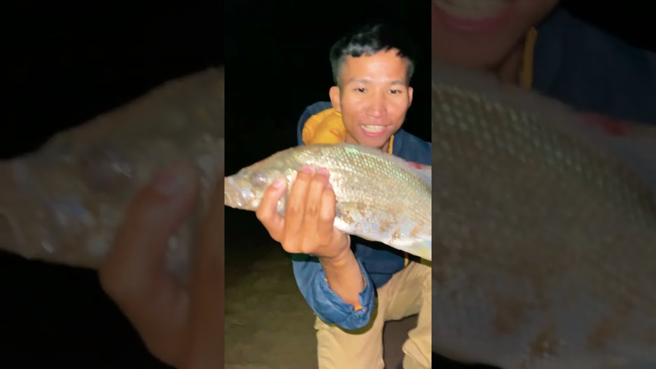 My very first #australian #bass on a lure #fishing #rockfishing #karenni #shorts