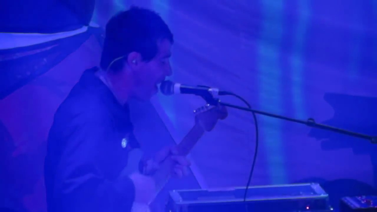Animal Collective 