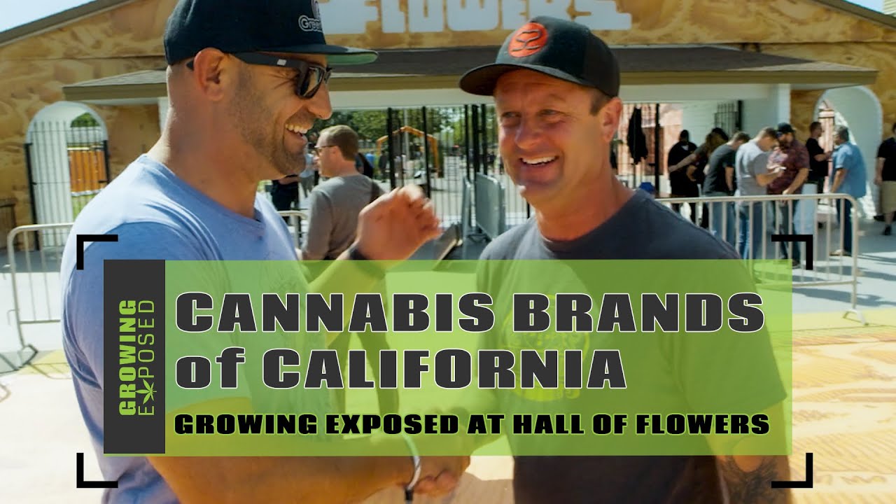 Cannabis Brands Of California - Growing Exposed At Hall Of Flowers!