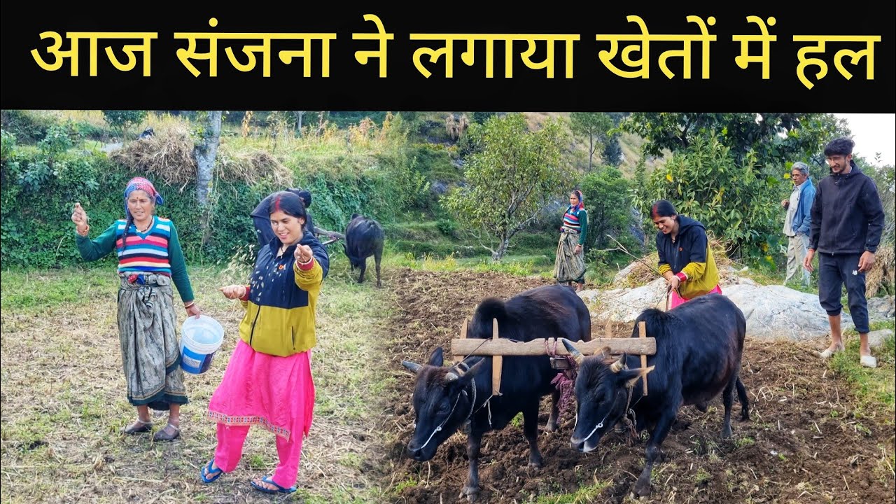 ये देख सब हो गए हैरान 😱|| Pahadi Village Lifestyle Vlog 