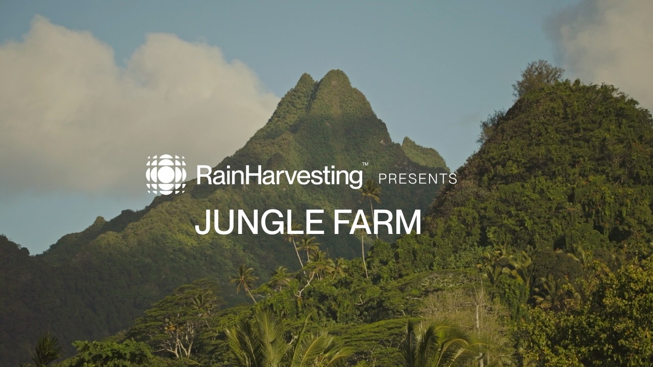 Rain Harvesting Presents - Jungle Farm: Living with the Land in the Cook Islands