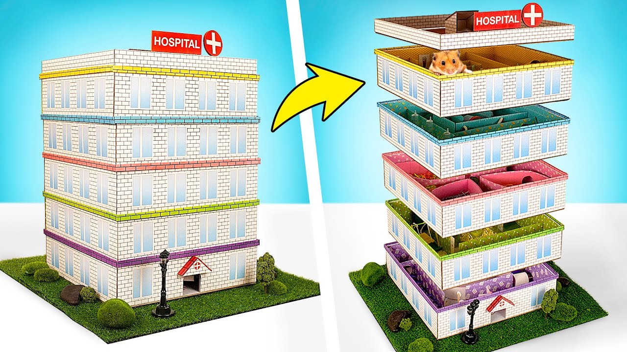 DIY Five-Level Maze For Hamster