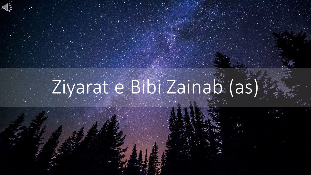 Ziarat Bibi Zainab new | ziyarat Janab e Zainab a.s.