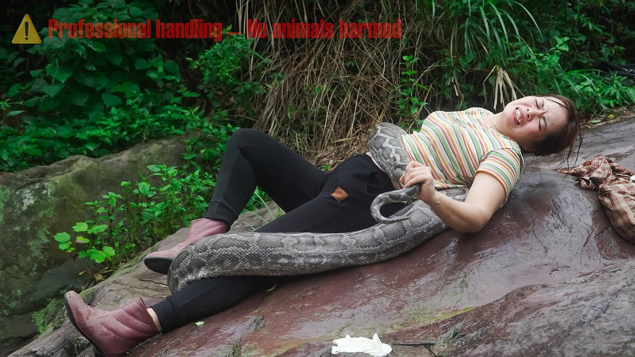 72 hours facing a giant wild python - harvesting thousands of frogs to sell at the market.
