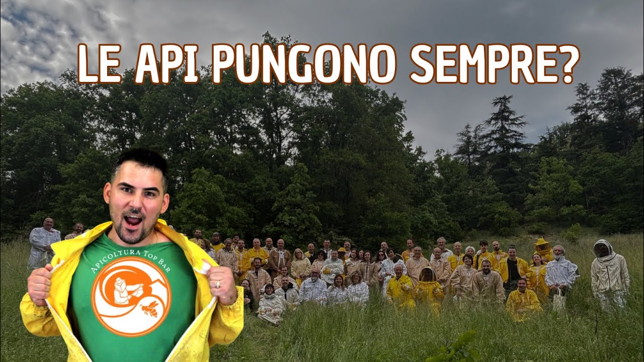 Apicoltura Top Bar Naturale: Le api pungono sempre?