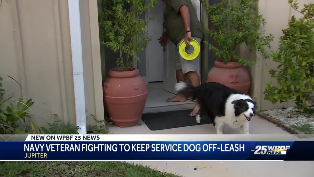 Navy veteran fighting Jupiter community HOA to keep service dog off leash