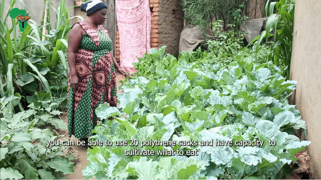 From Training to Harvest: Woman Driving Zero Waste and Kitchen Gardens