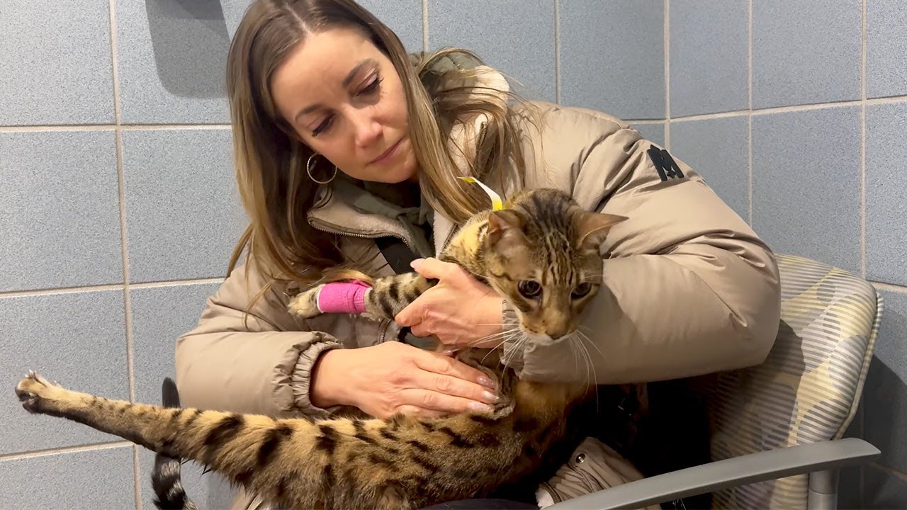 Bambu ER/Nylah Zatrzymanie krążenia