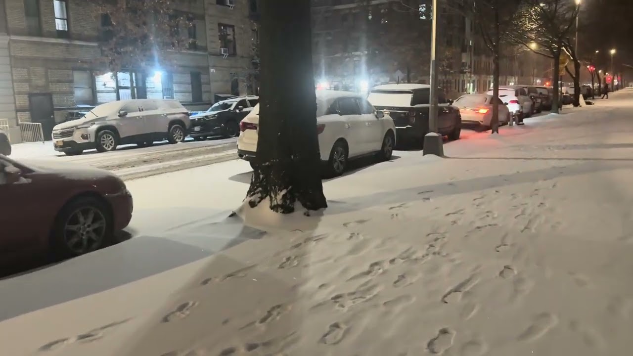 NYC Snowy night