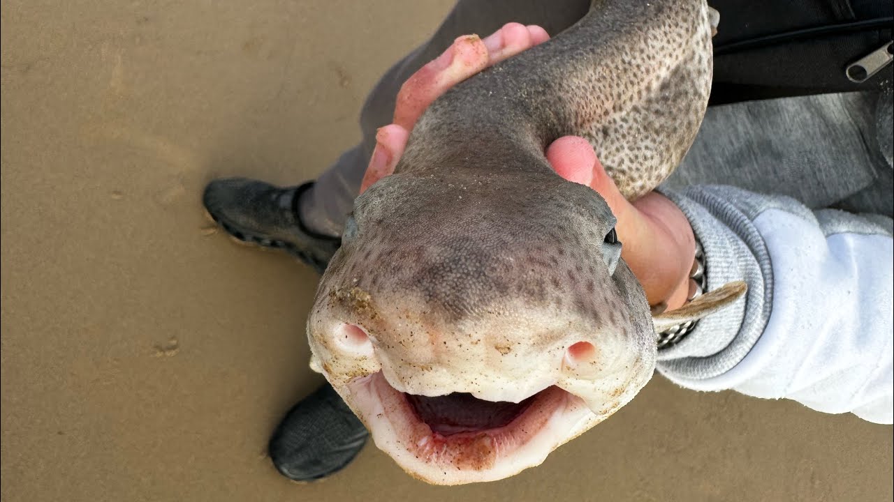 Low water fishing at perch rock