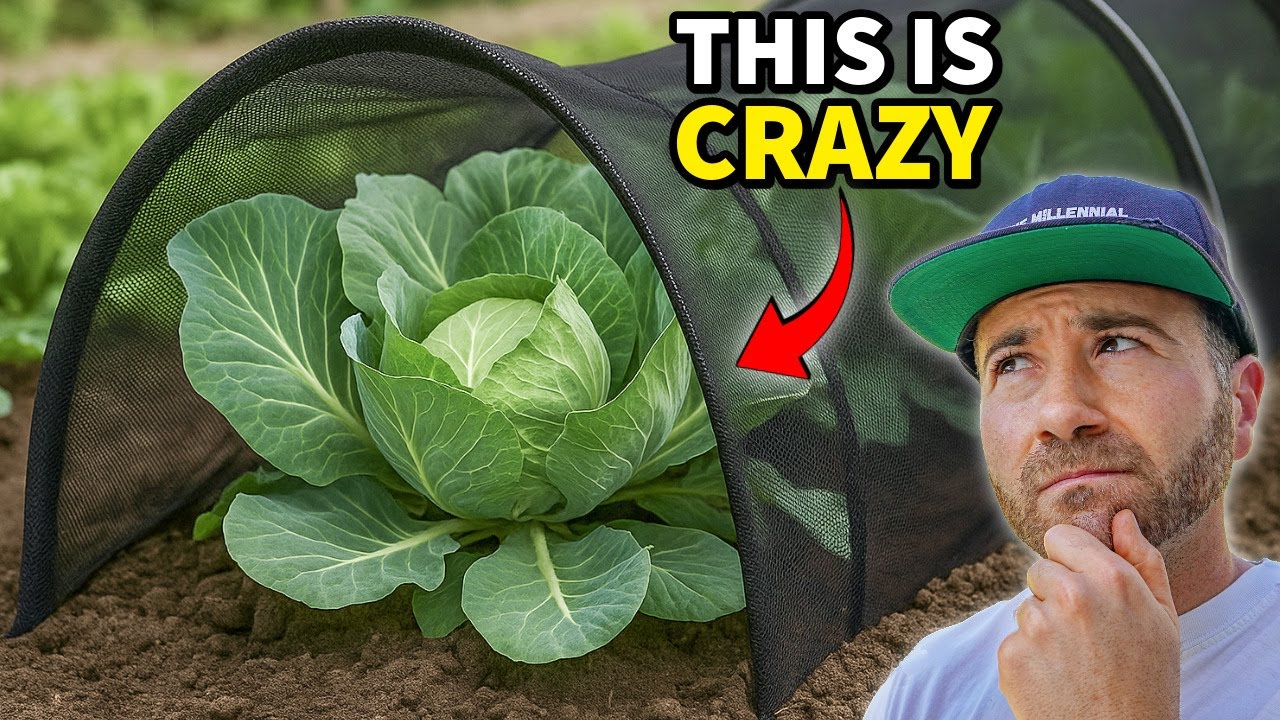 I Tested The AMAZING New Netting That Protects ALL Crops!