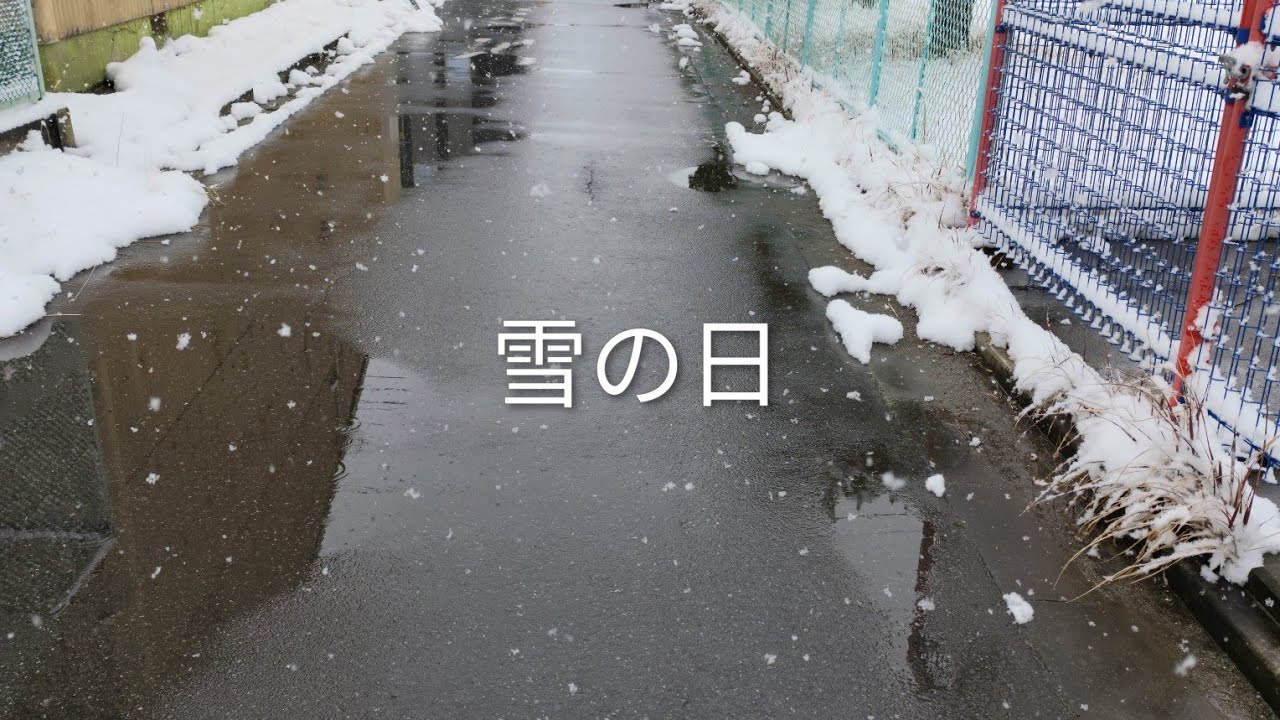 雪の日