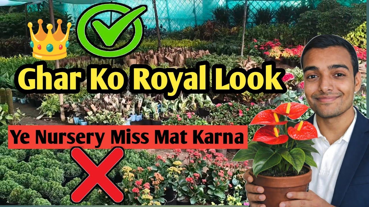 Delhi nursery visit | Best nursery in Delhi NCR | Indoor plants| Outdoor plants | Winter plants 