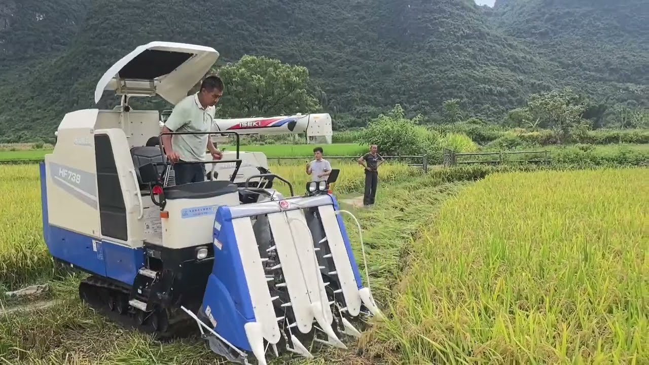 Mini combine harvester I Paddy harvester machine I Dhan katne ki machine