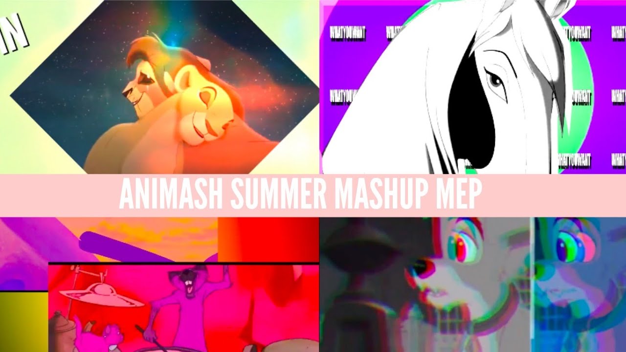 Summer Mashup | Animash MEP
