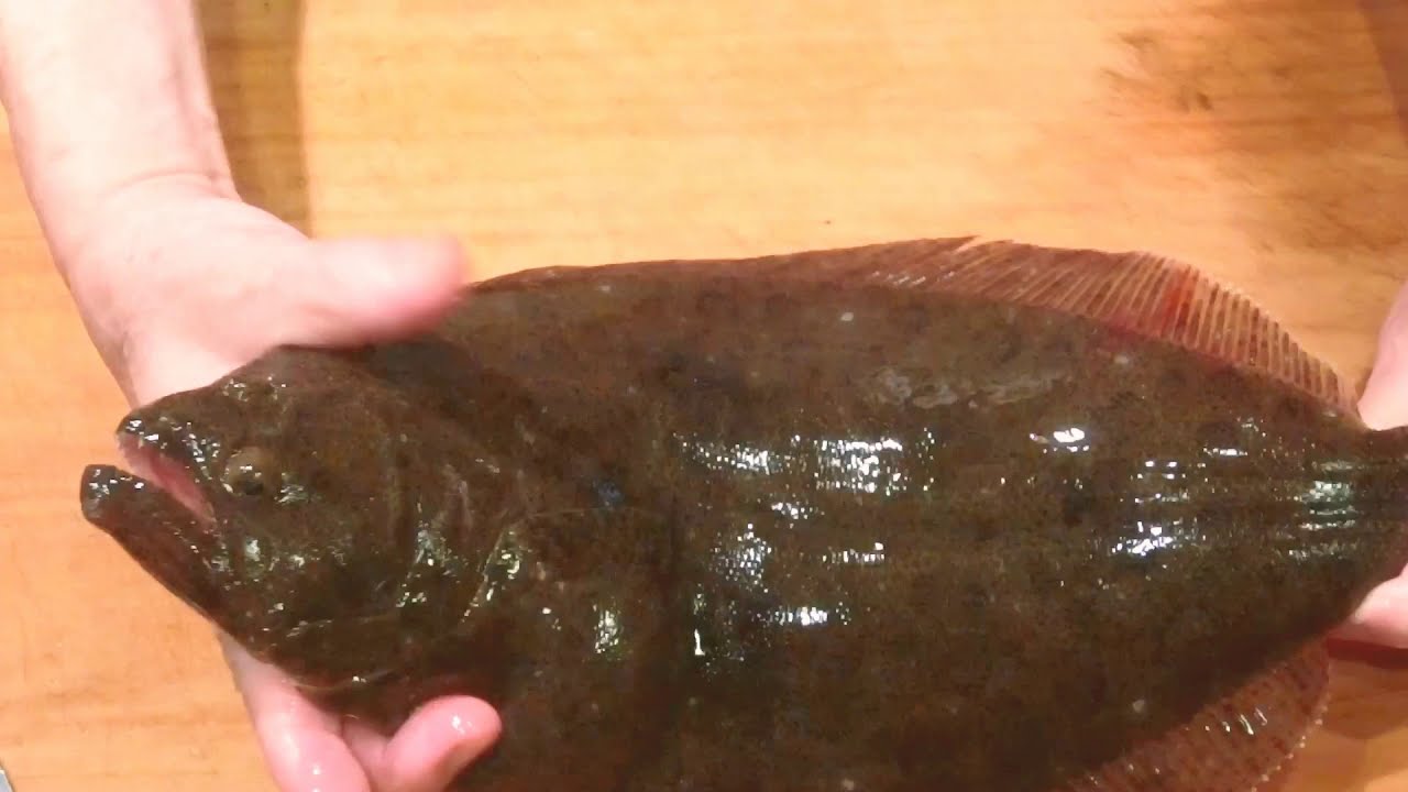 《ヒラメの刺身（雲丹添え）》・・・・大和の 和の料理《刺身（リハビリ編）》