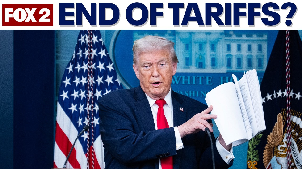 Trump's Tariffs: High Court ruling is not end of president's policy