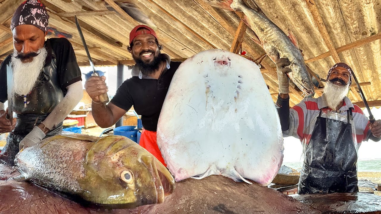 Master Cutters Blow Minds With Cutting Blast &ndash; Amazing Fish Skills Displayed!