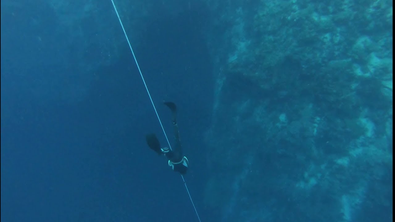 Padi Freediver course, Moalboal