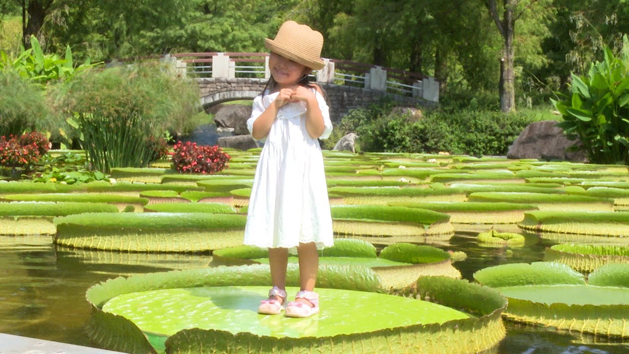 子どもたちがパラグアイオニバスの試乗会