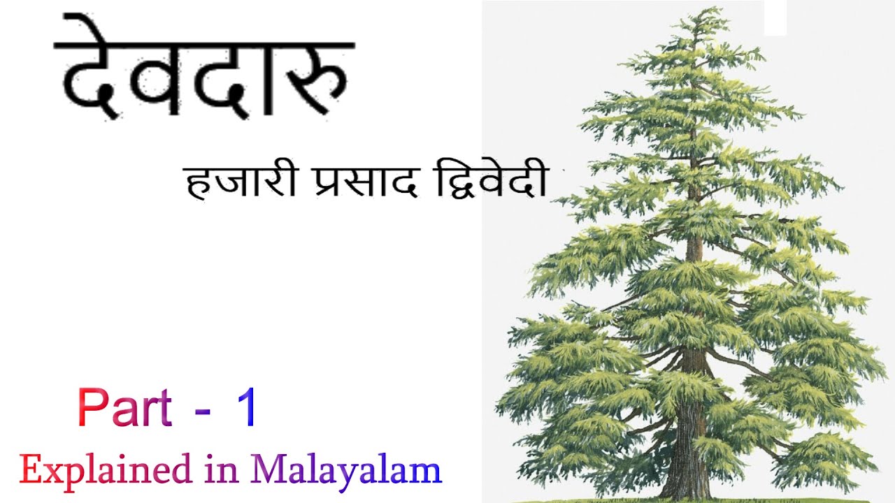 Devdaru(Explained in Malayalam)Hazariprasad Dwivedi-Dr Sophia Rajan,Associate Professor