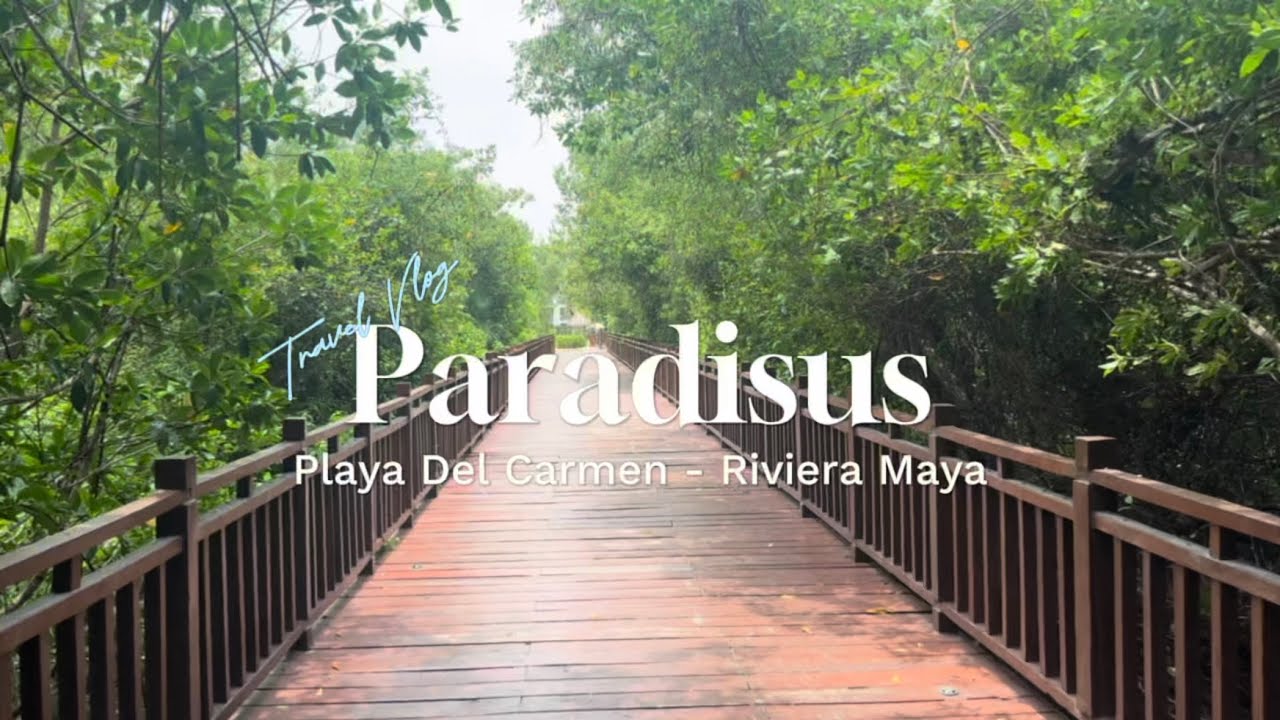 First day at Paradisus Playa De Carmen, an all inclusive resort in Riviera Maya, Mexico!
