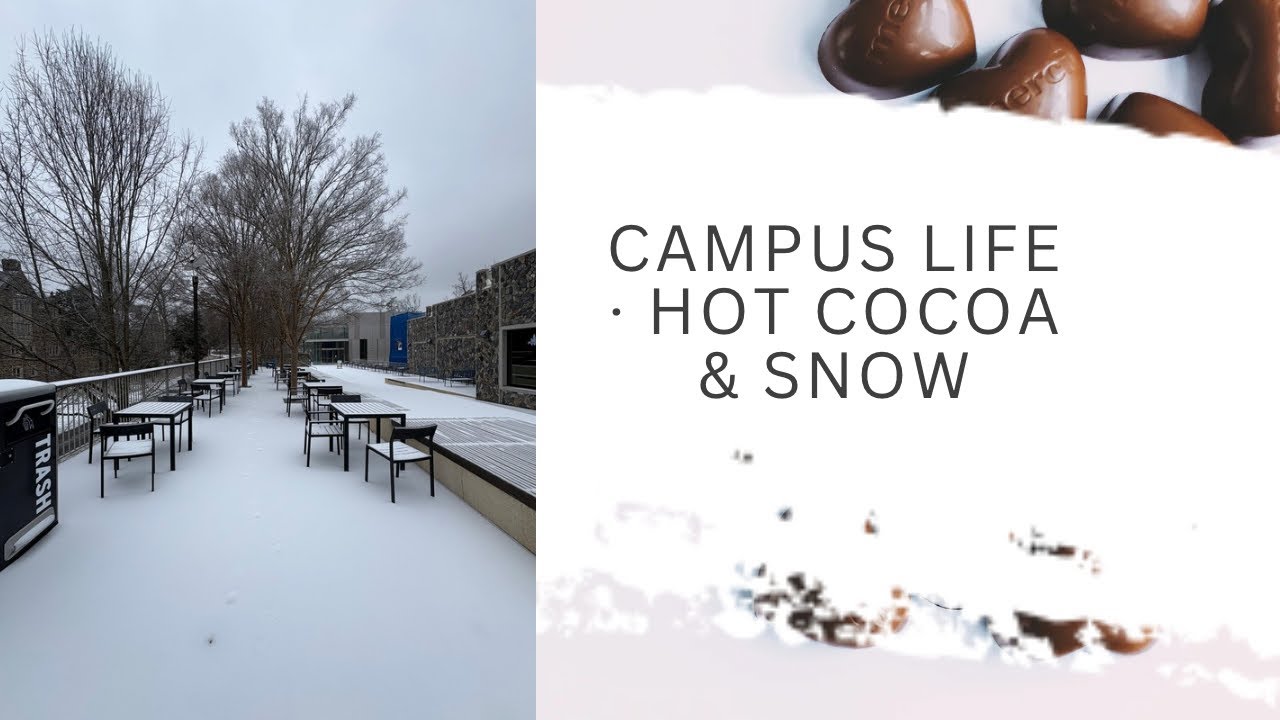 Where Snow Falls and Cocoa Warms