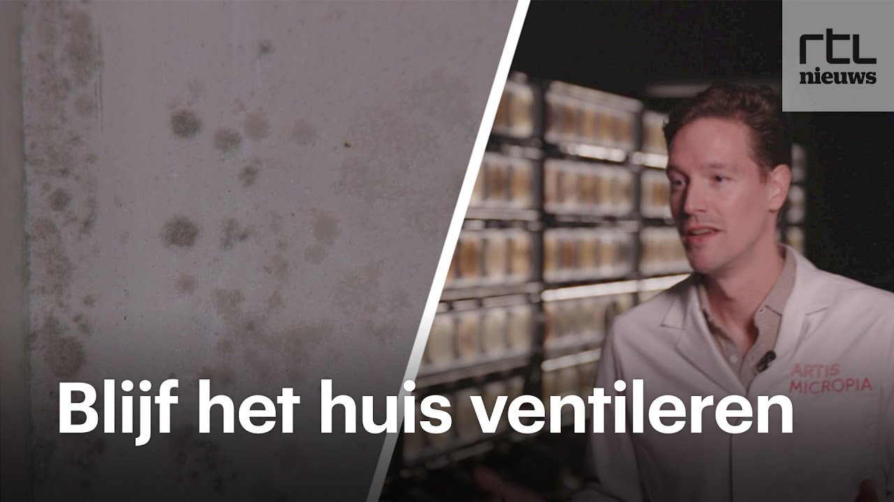 Huis potdicht om energie te besparen? Kijk uit voor schimmels