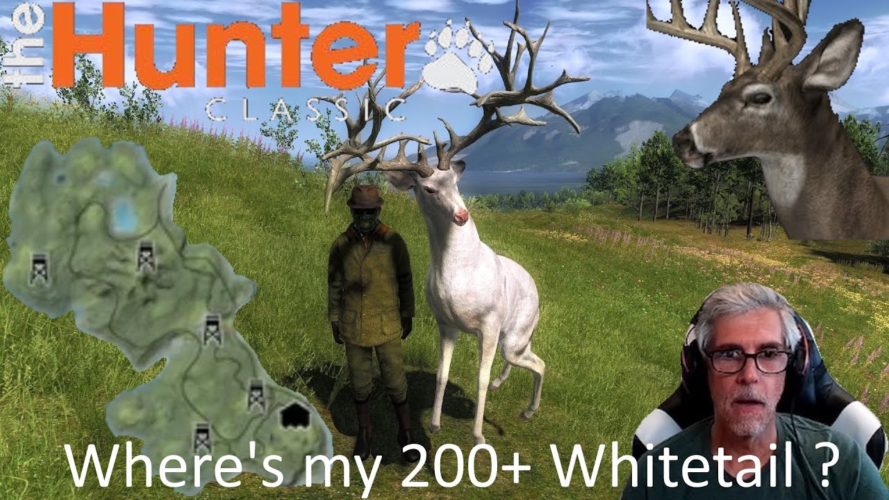 theHunter Classic: Whitehart South Island search of a 200+ Whitetail